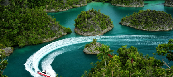 Tutorial Wisata ke Raja Ampat Bagi Pemula